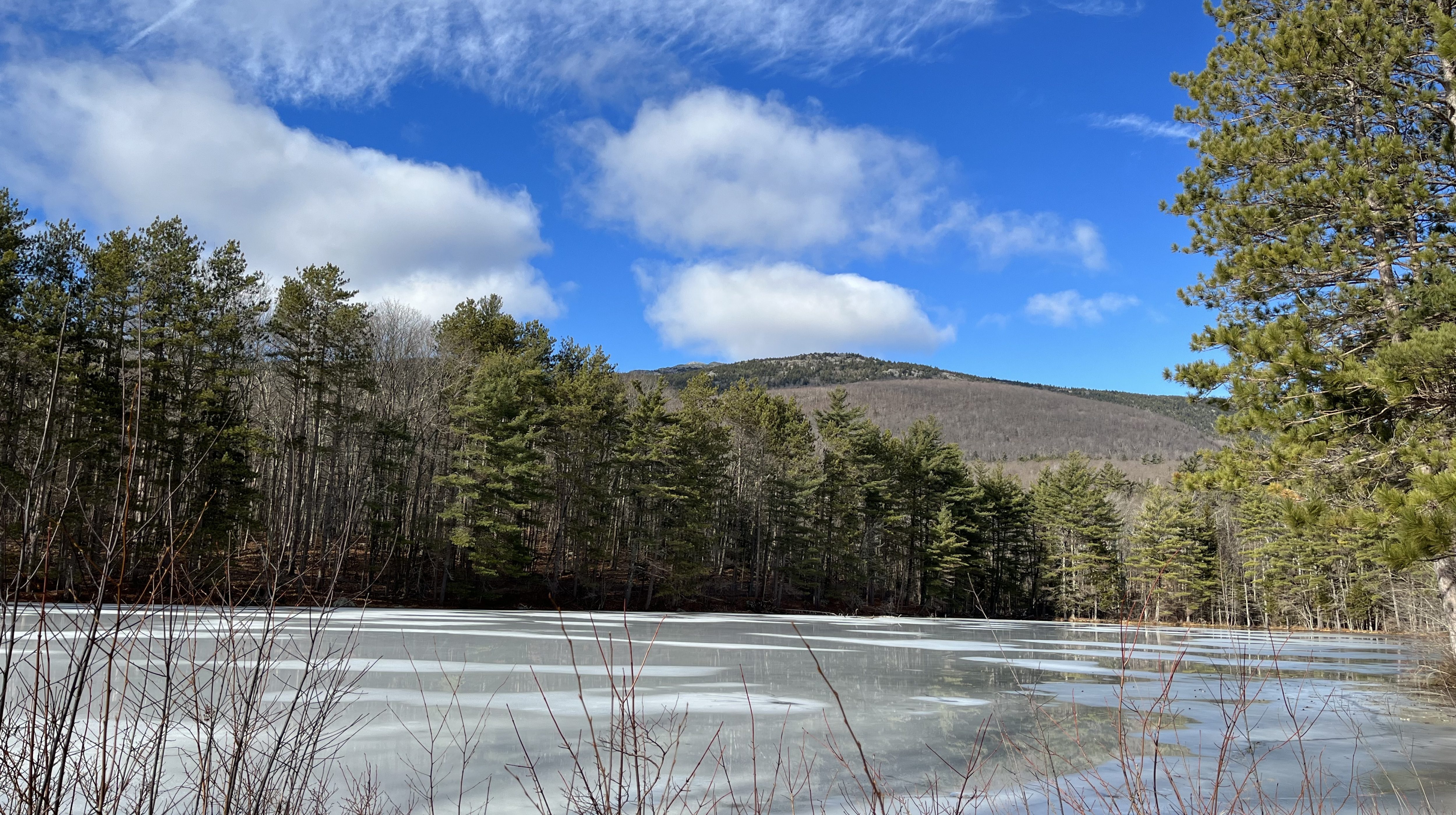 pond starting to freeze trees and mountain behind