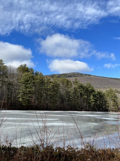 pond starting to freeze trees and mountain behind