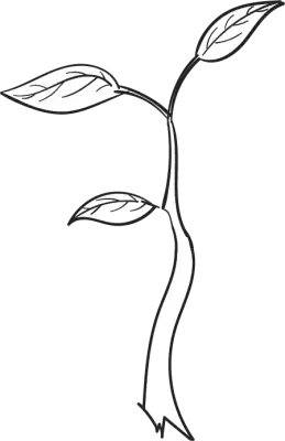 Seedling Asset 64 4x