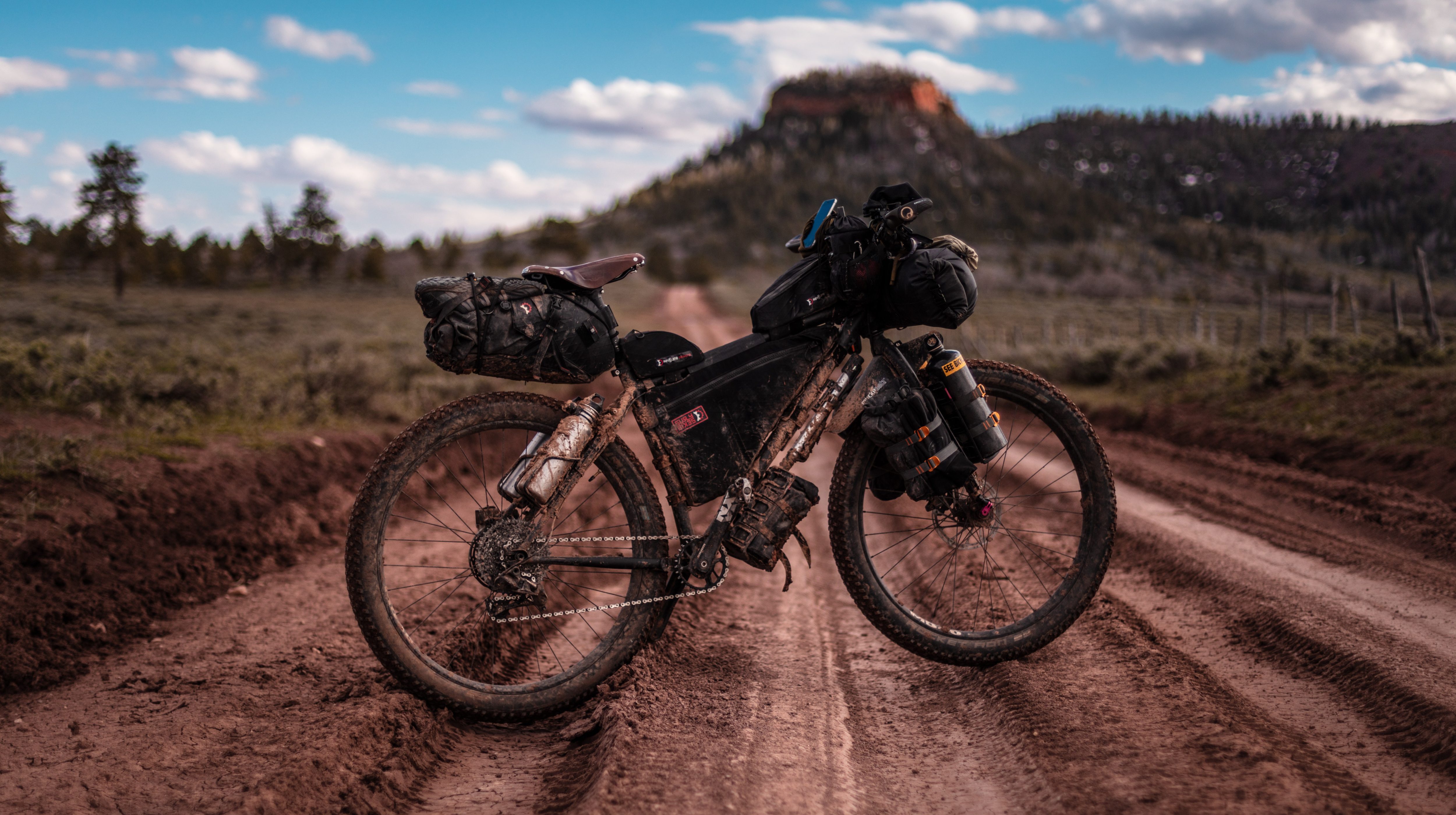 The Long Game Header