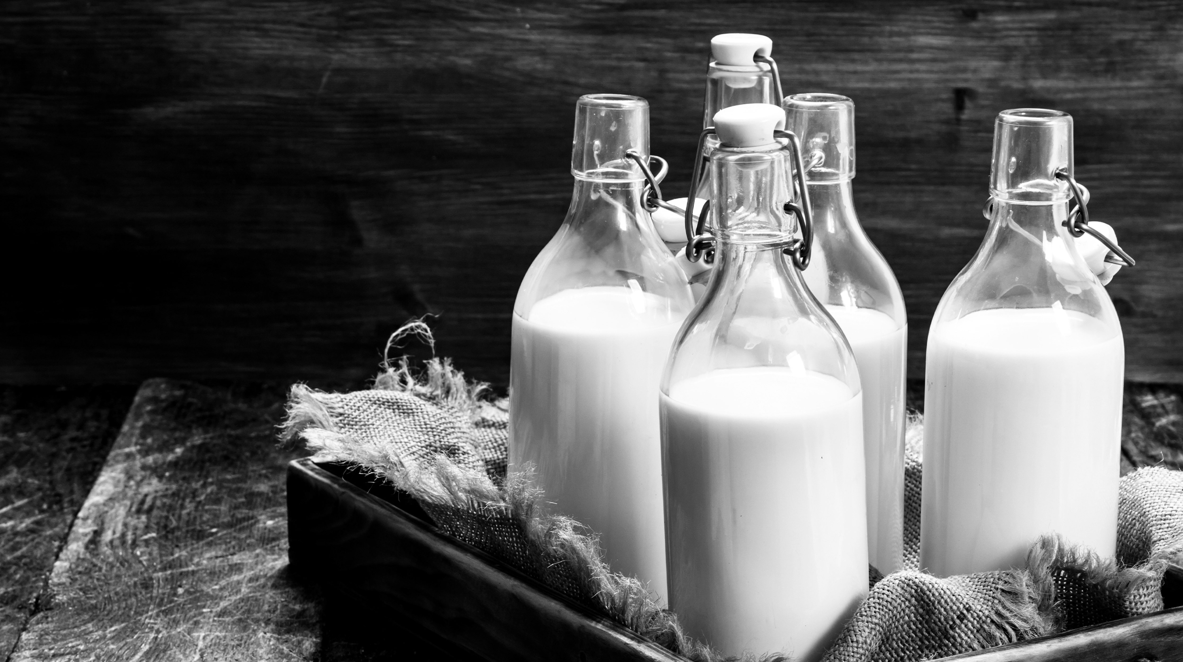 Website Header SIDECAR Nostalgia