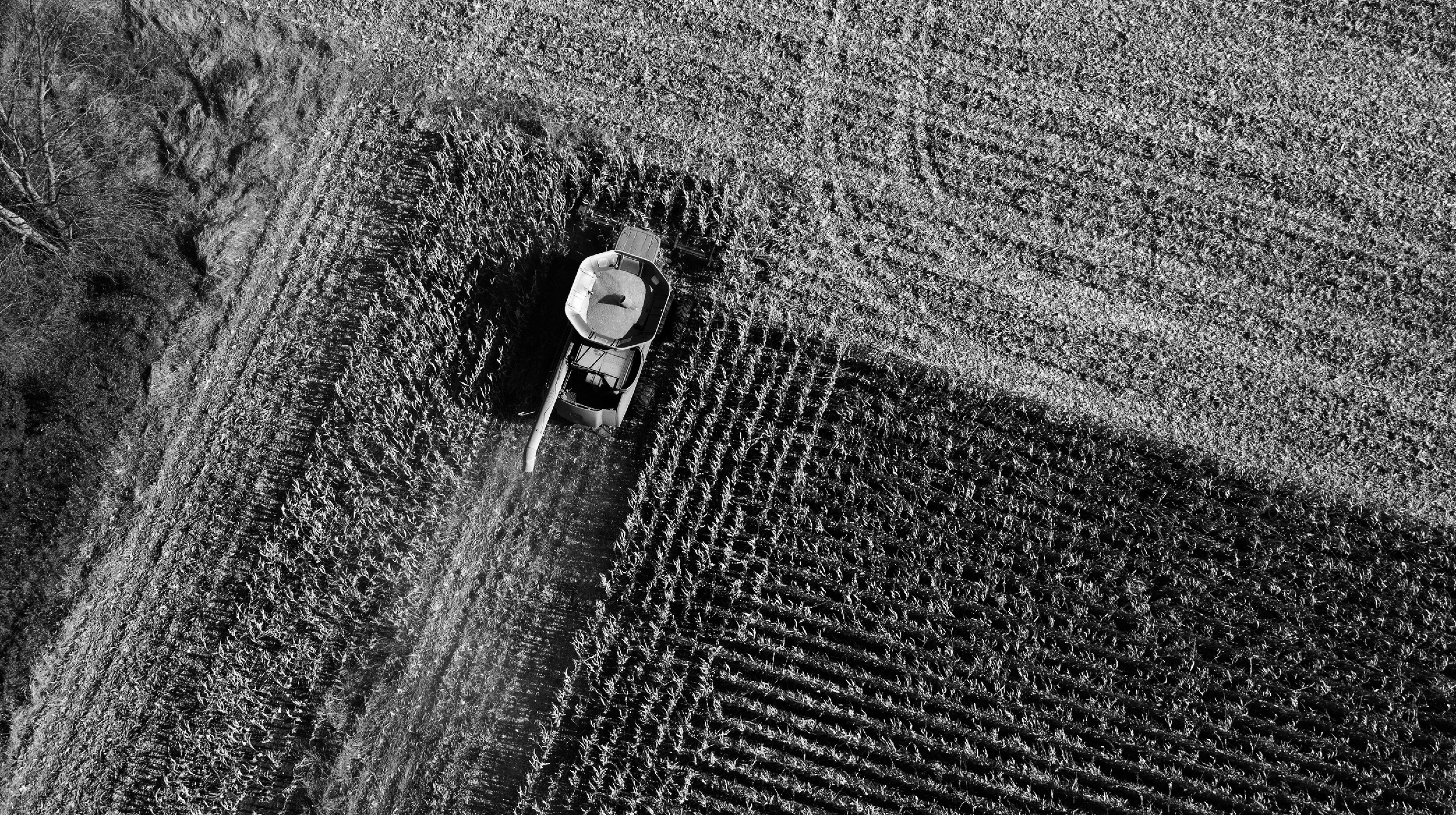 Website Header Diversify